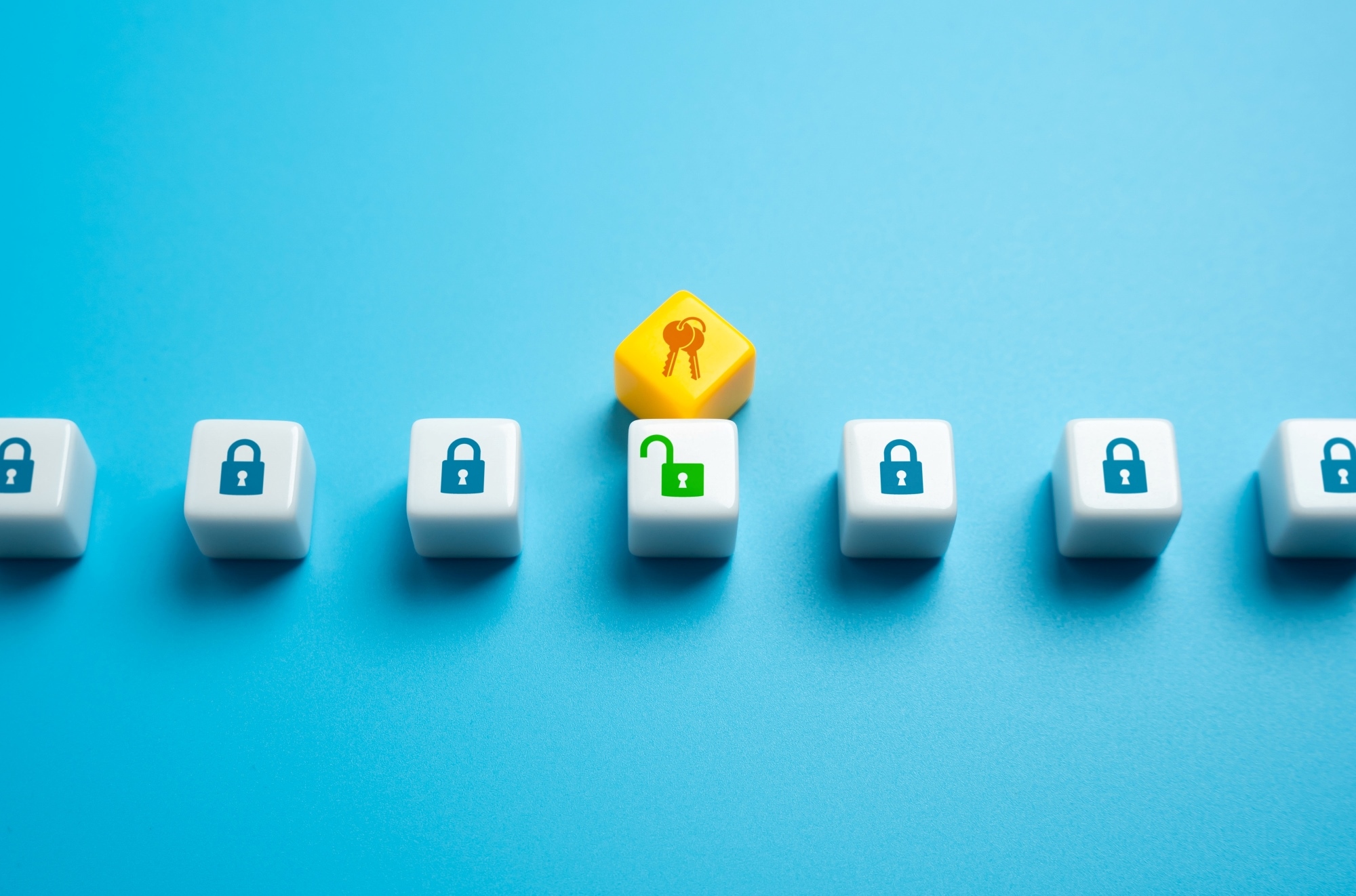 上部にセキュリティ・ロックが付いたプラスチック製ブロック