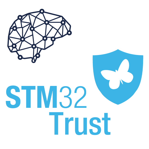 STM32 Ecosystem, STM32Trust, STM32 Graphical user interfaces, STM32 AI, STM32 Motor control, STM32 digital power ecosystem, STM32 Cloud solutions