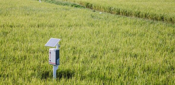 Solar energy harvesting in field